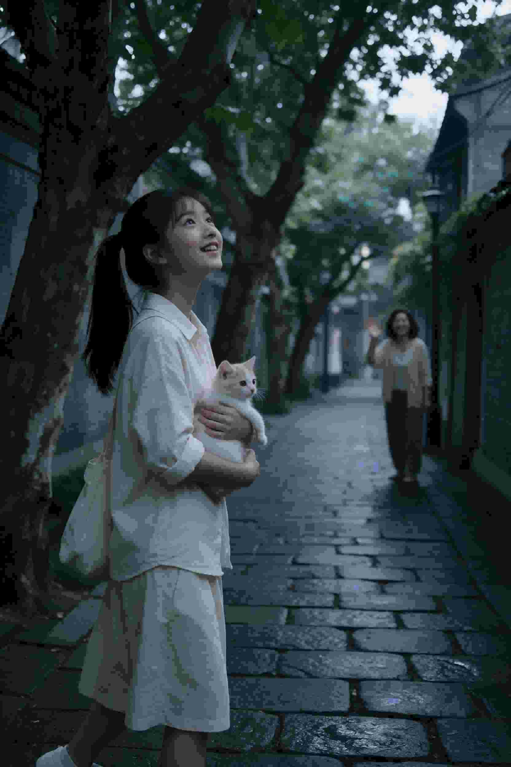 旋转木马
